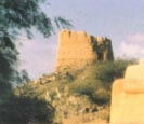 Al Bidiyah tower guard.JPG (8127 byte)